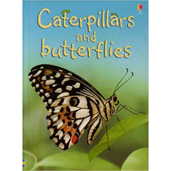 Caterpillars and Butterflies 