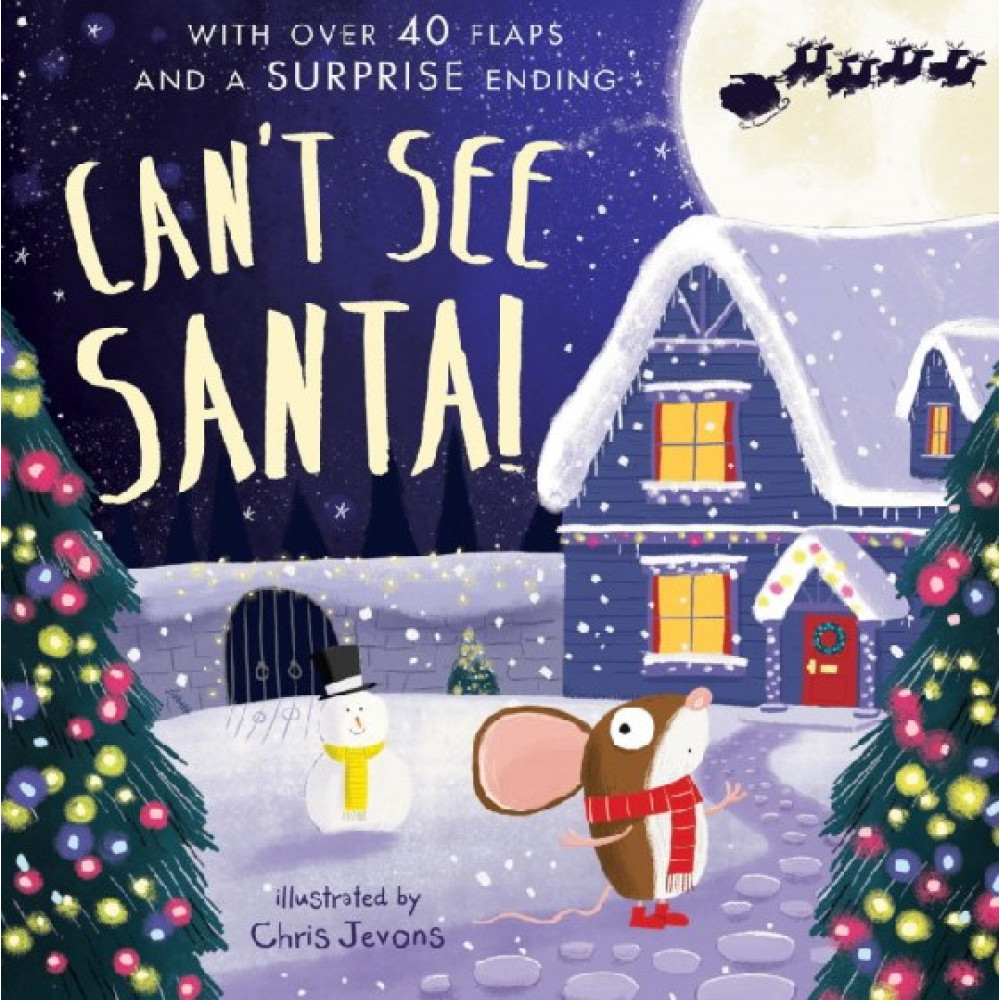 Can't See Santa! (lift-the-flap) 