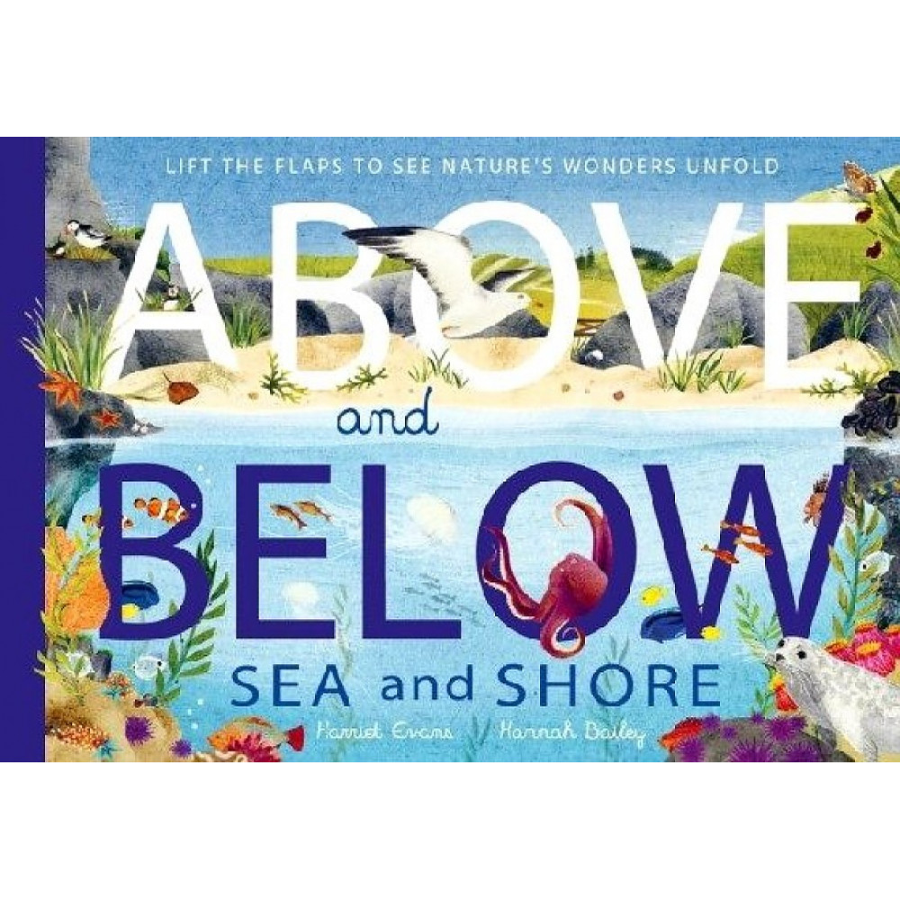 Above and Below: Sea and Shore 